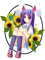 BUY NEW touhou - 103553 Premium Anime Print Poster